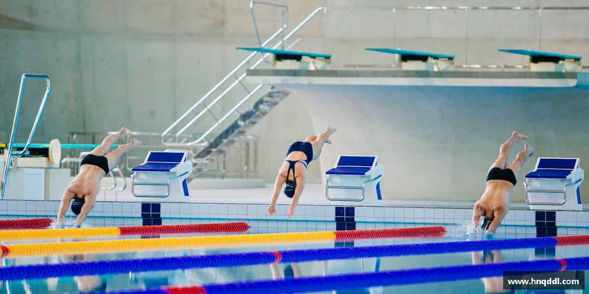 了解球王会体育